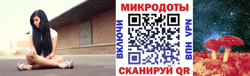 Галлюциногенные грибы Psilocybe  Нефтегорск 
